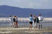 Lake Nakuru Safari Tour