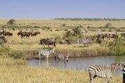 4 Days Kenya Safari Tour