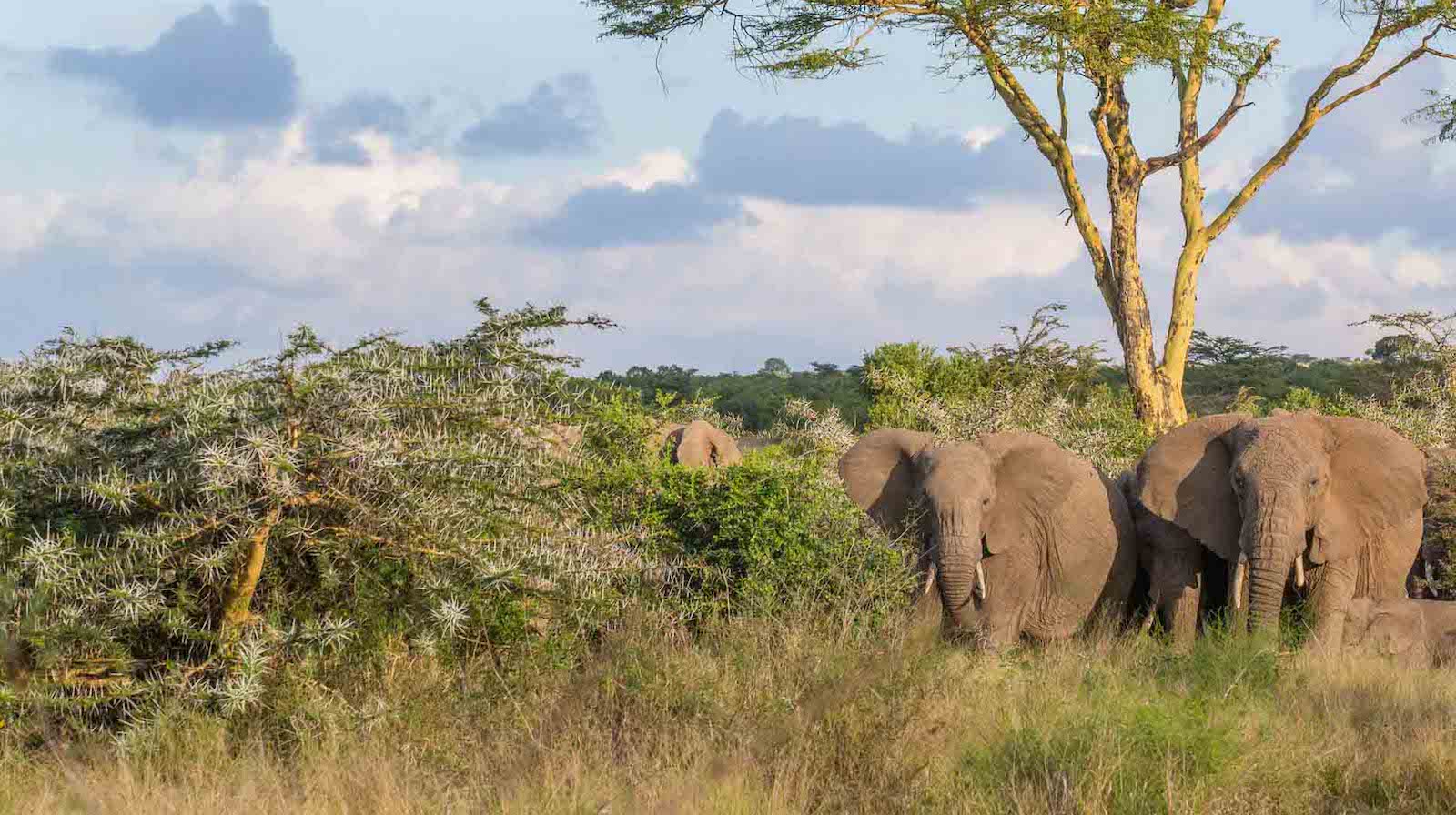 Arusha National Park