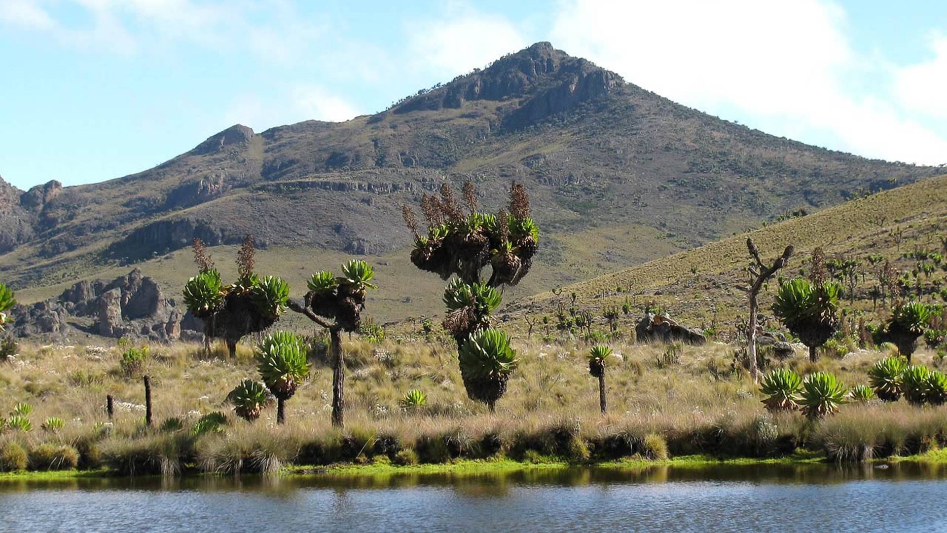 Mount Elgon National Park, Kenya