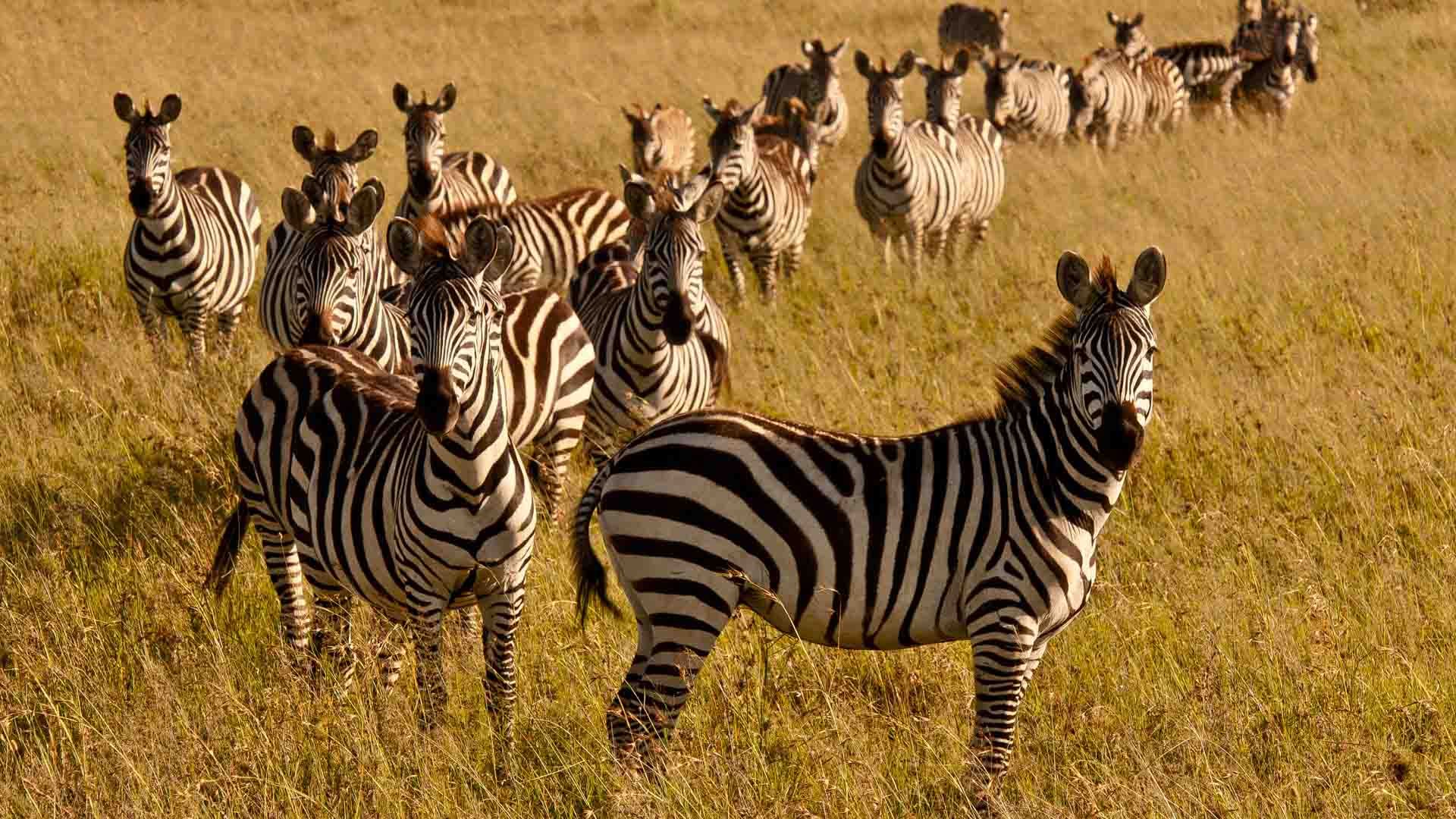 Shimba Hills National Reserve