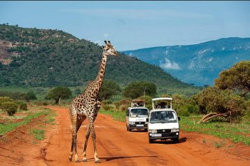 3 days Mombasa safari Tsavo