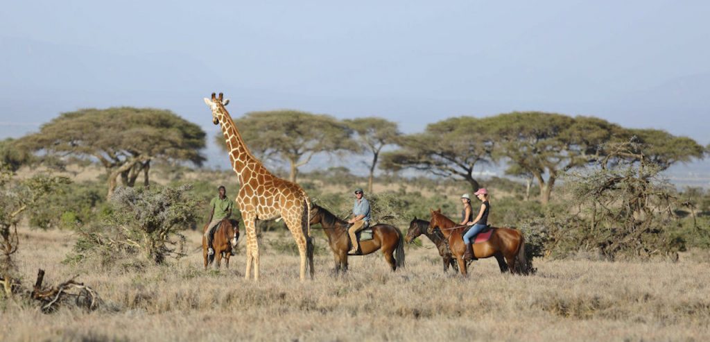 Lewa Wildlife Conservancy