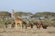 Lewa Wildlife Conservancy