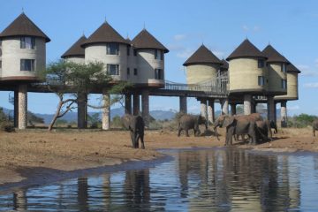 2 days Mombasa Safari Salt Lick