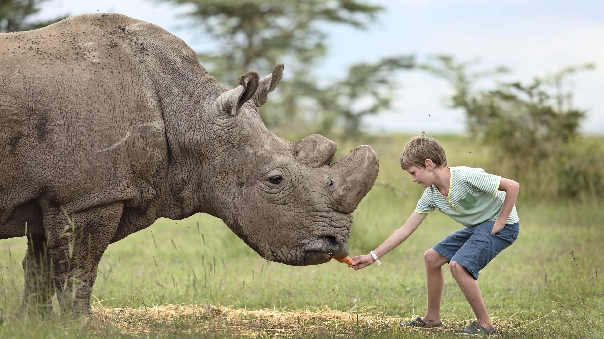 Ol Pejeta Conservancy, Kenya