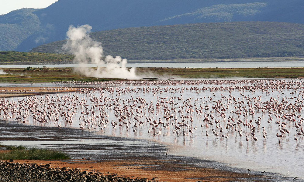 Lake Bogoria