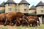 3 Day Mombasa Safari Taita Hills