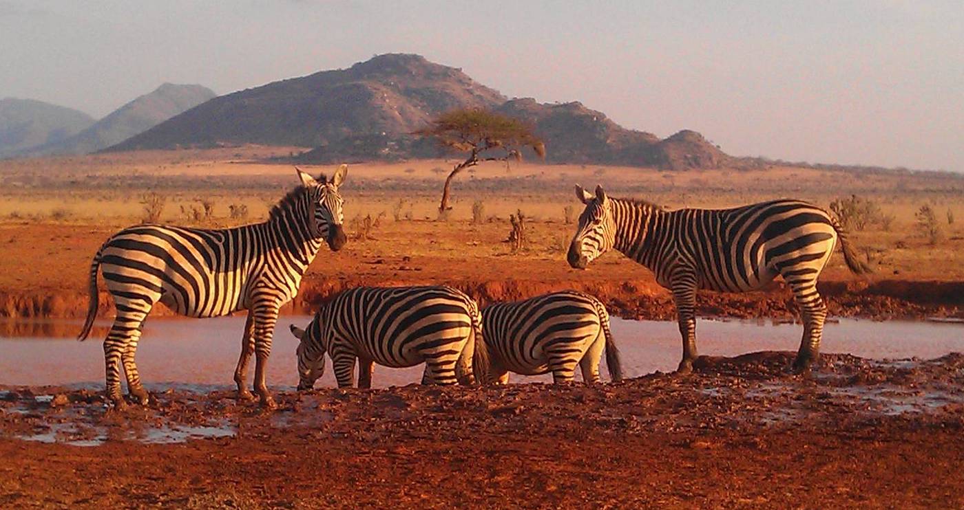 masai Mara