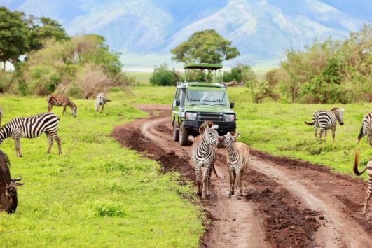 14 days Kilimanjaro and safari Tanzania