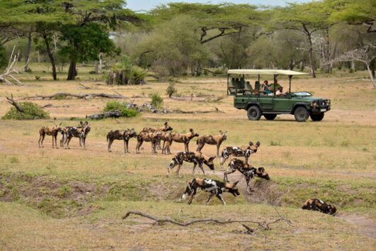 5 days southern Tanznaia safari