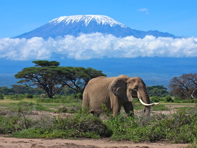 Amboseli National Park