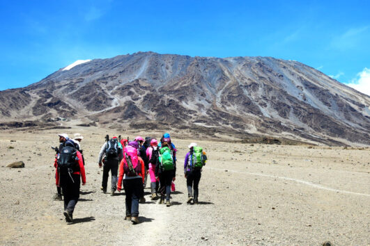 Kilimanjaro day trip