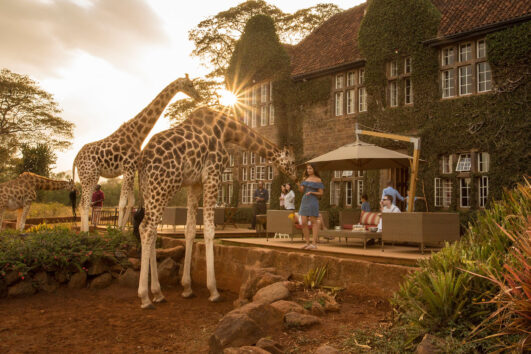 Karen Blixen Giraffe manor