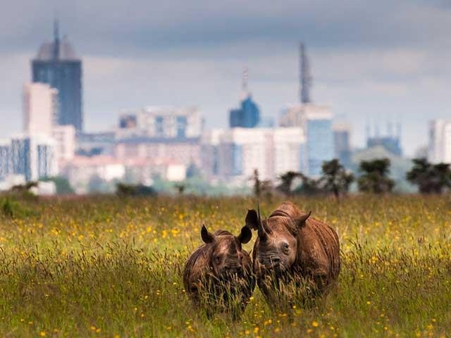 Nairobi National Park