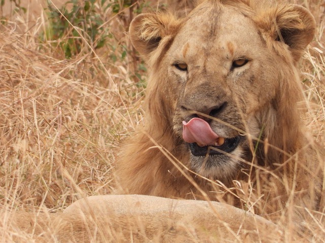 Serengeti National Park