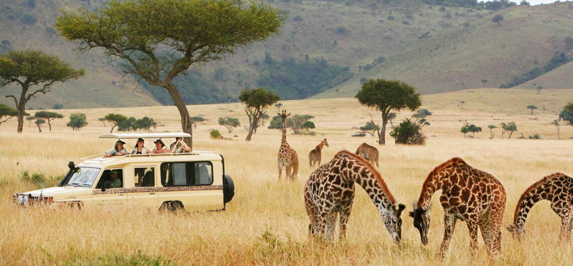 African safaris