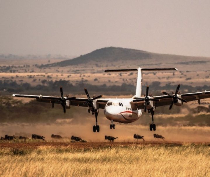 3 day fly in Mombasa to Masai Mara safari