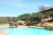 Man Eaters Camp Tsavo East