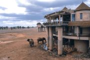 Saltlick Lodge Taita Waterhole