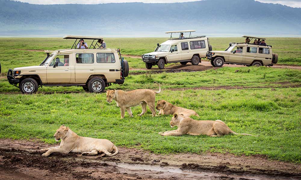 14 Days Ngorongoro Walking Safari