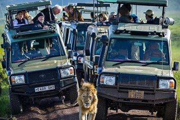 2 Days Tanzania Lodge Safari Ngorongoro Crater Tarangire