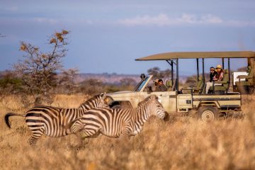 3 Day Tanzania Safari Mikumi National Park from Dar es Salaam