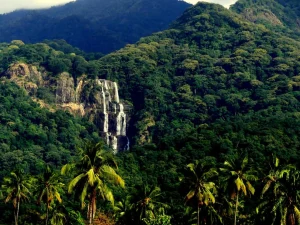 Udzungwa Mountains