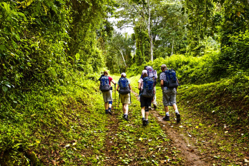 One Day Kilimanjaro Trek to Marangu Route