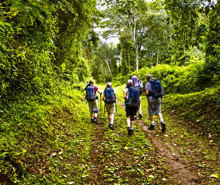 One Day Kilimanjaro Trek to Marangu Route