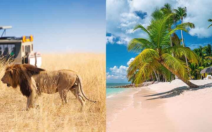 10 Days Lodge Safari & Beach Zanzibar Book Now