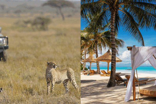 14 Days Tanzania Safaris and Zanzibar Beach W a s