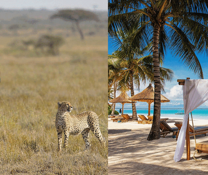 14 Days Tanzania Safaris and Zanzibar Beach W a s