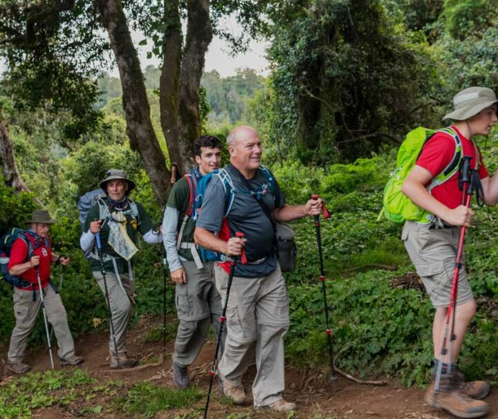 Trekking Marangu Route Day Tour Tanzania Ways African Safaris