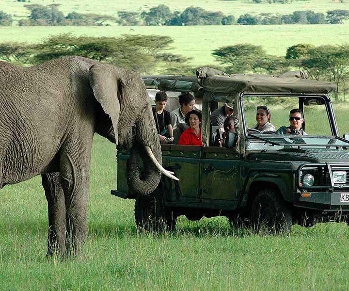 12 Days Kenya Safari & Diani Beach Holiday Resort