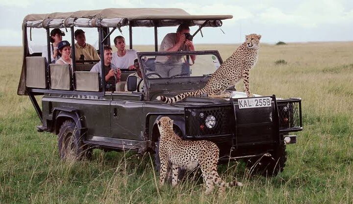 3 days masai mara ways african safaris