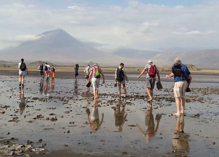 5 Day Ngorongoro Highlands Trekking Tour Prices