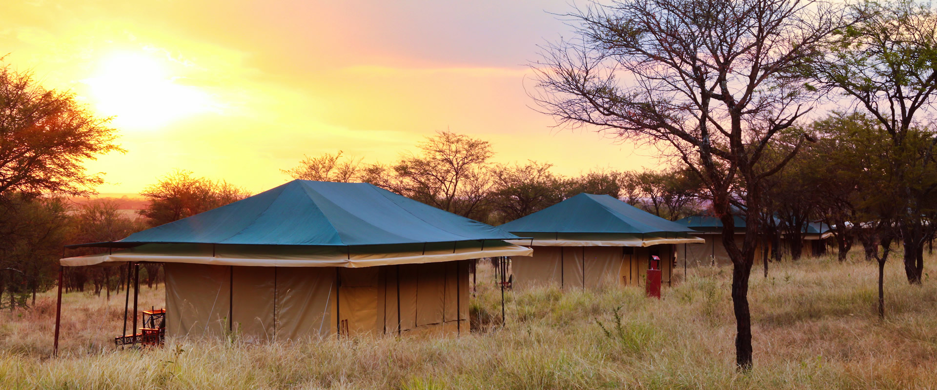 Tukaone Serengeti Camp