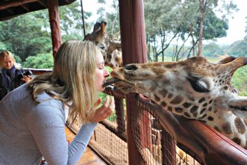 1 Day Baby Elephants And Giraffes Nairobi Tour