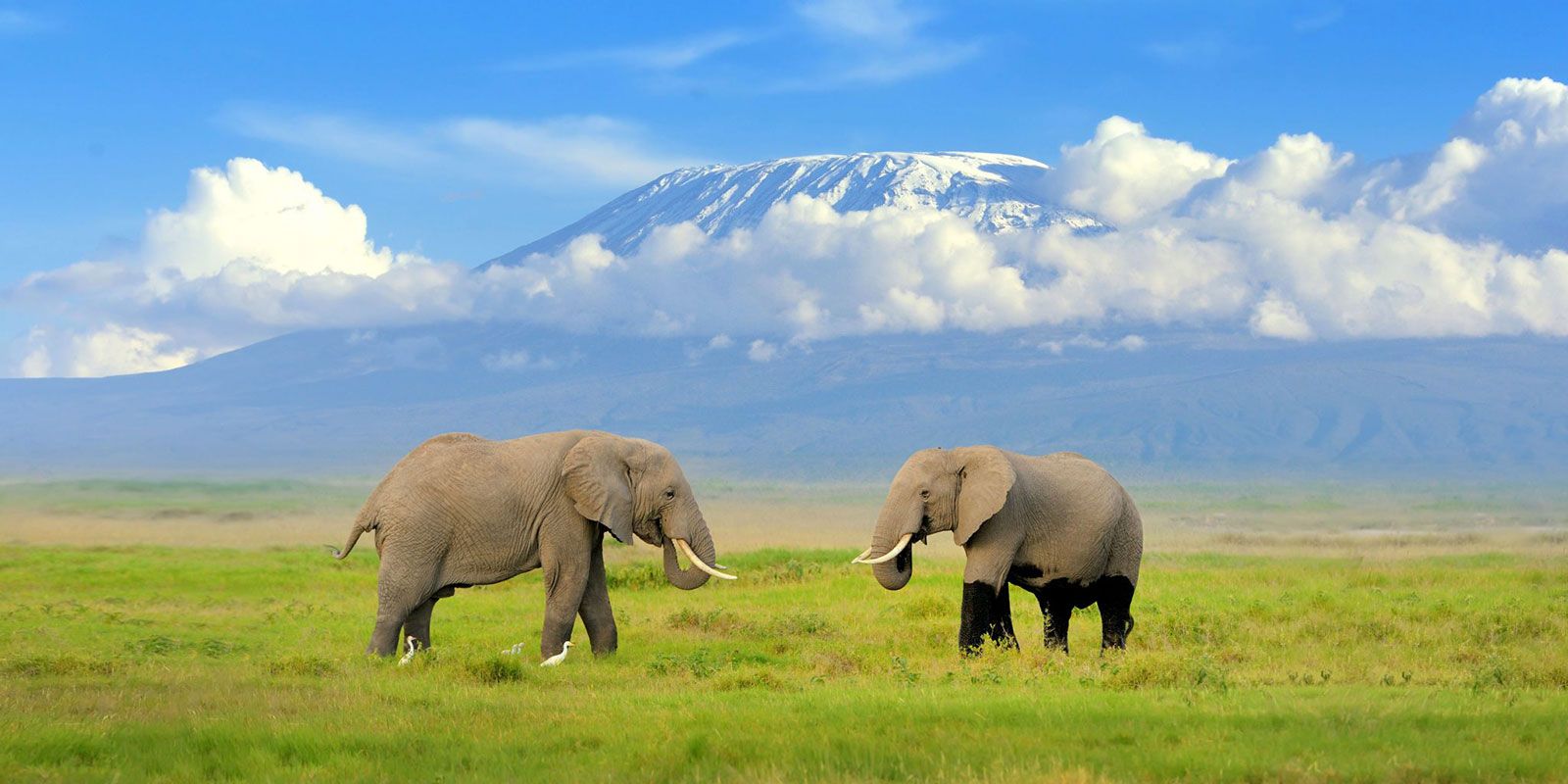 1 Day Lake Nakuru National Park from Nairobi