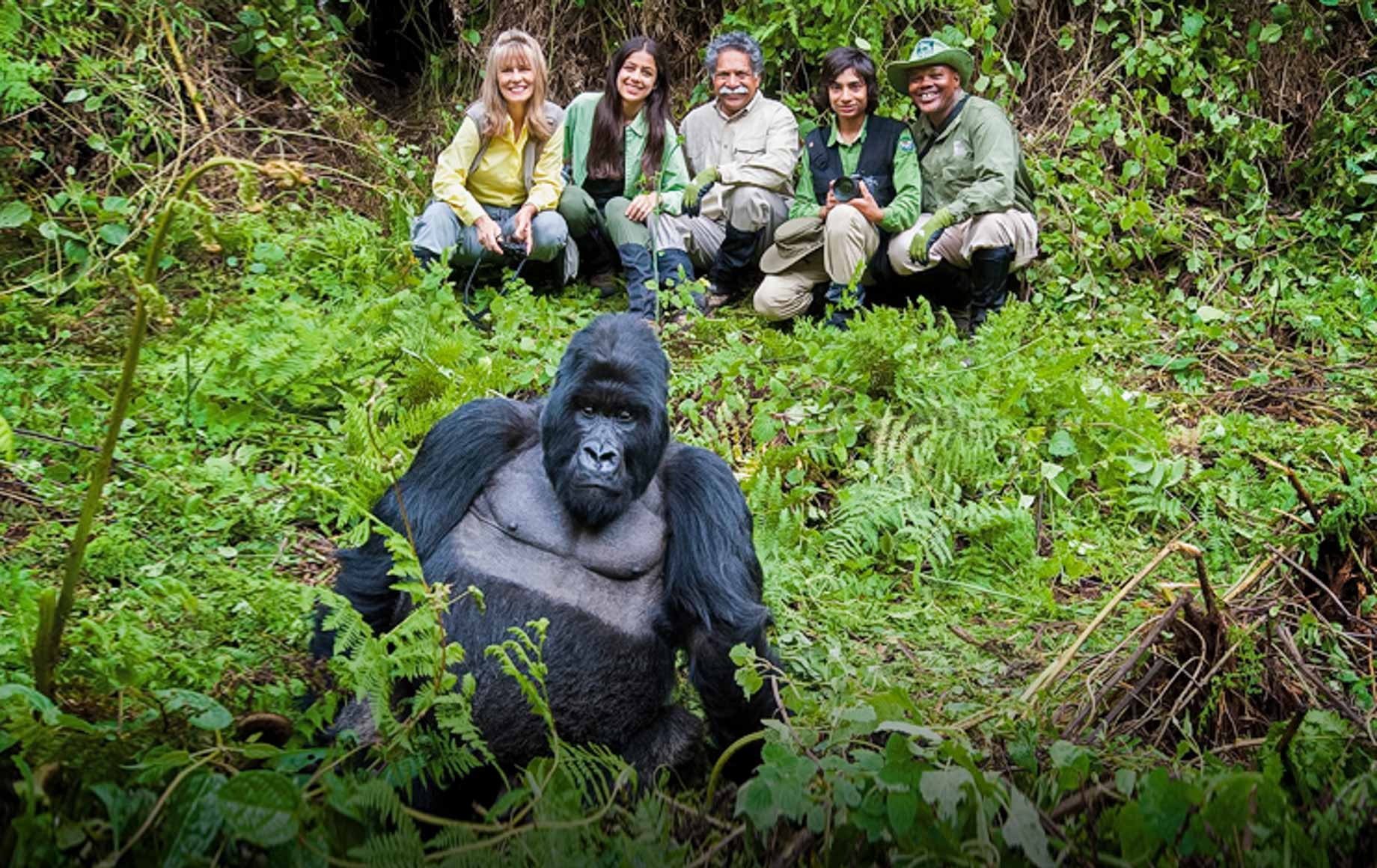 10 Days Rwanda Gorillas And Tanzania Safari