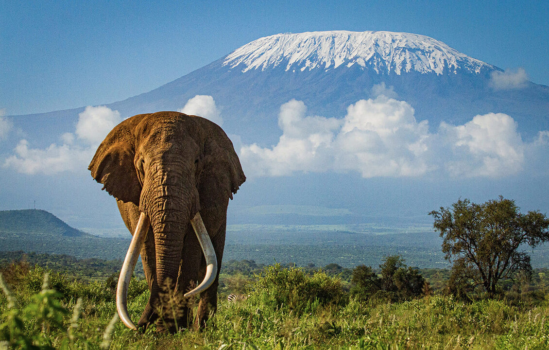 12 days Kilimanjaro and safari combined