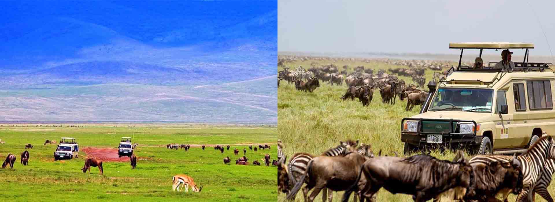 14 Days Mt Kilimanjaro Climb – Serengeti & Ngorongoro Safari