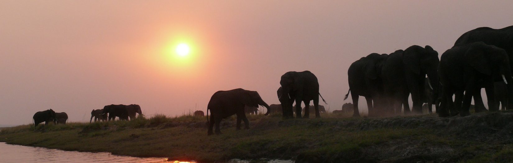 2 Days Rwanda Chimpanzee Trekking Tour to Nyungwe