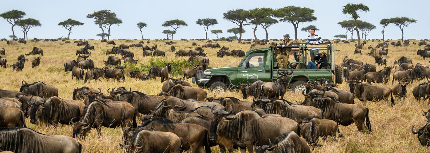 7 Days Kenya Budget Safari & Prices