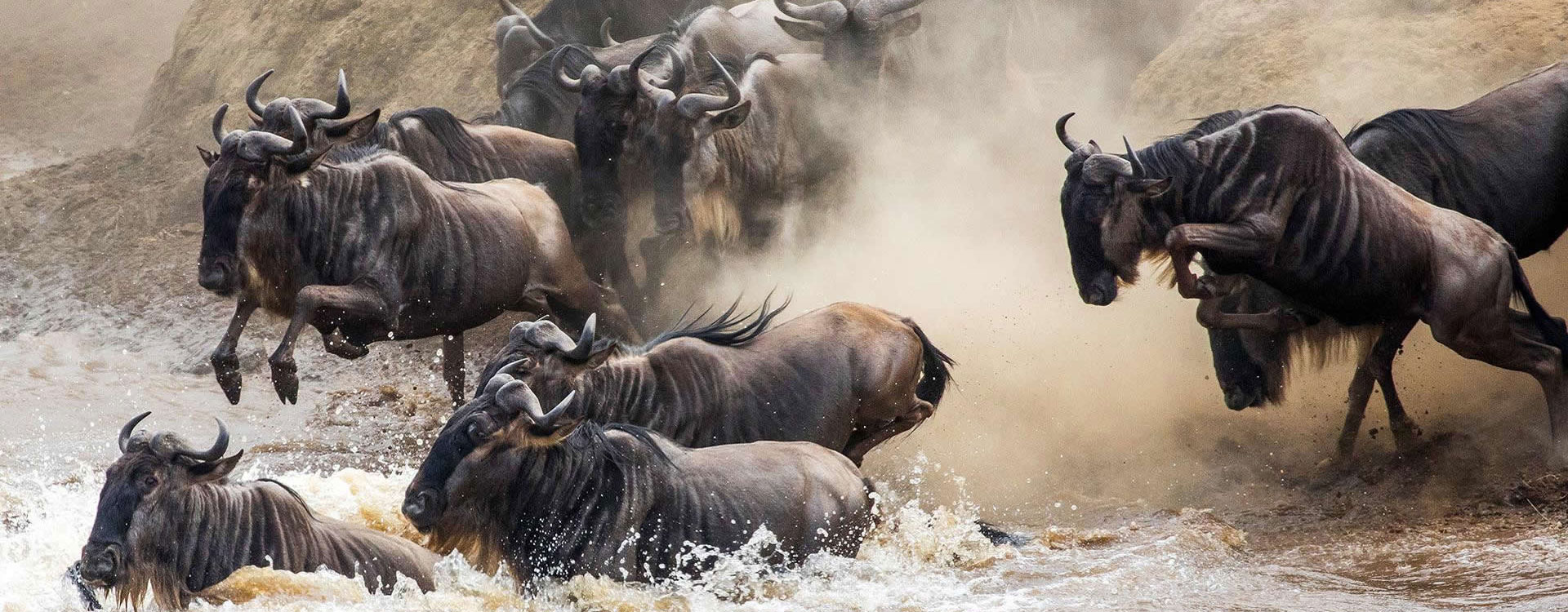 9 Days Kenya and Tanzania Migration safari Tour