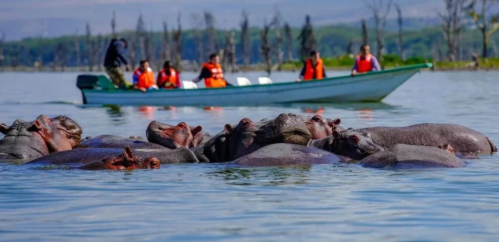 Lake Naivasha Day Trip