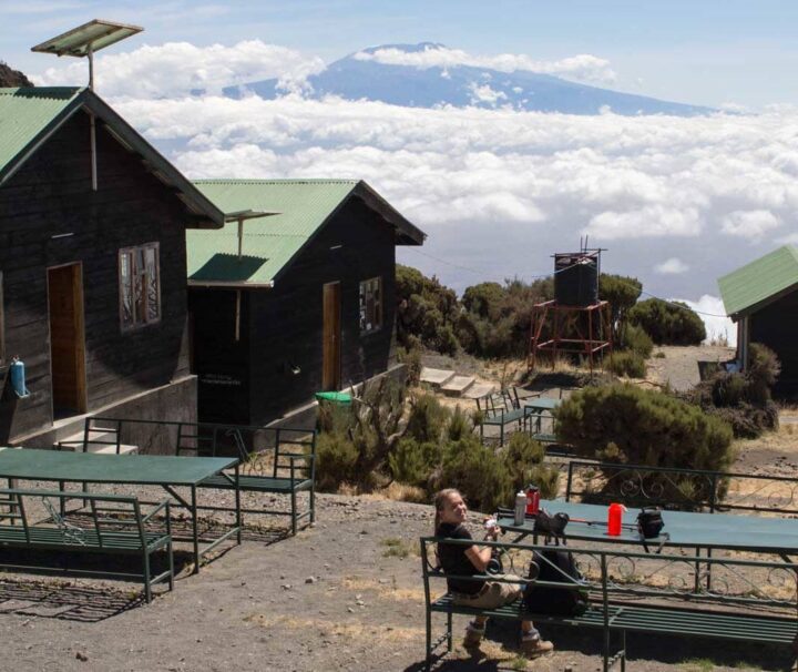 14 Days Mt. Meru Trekking Safari & Zanzibar