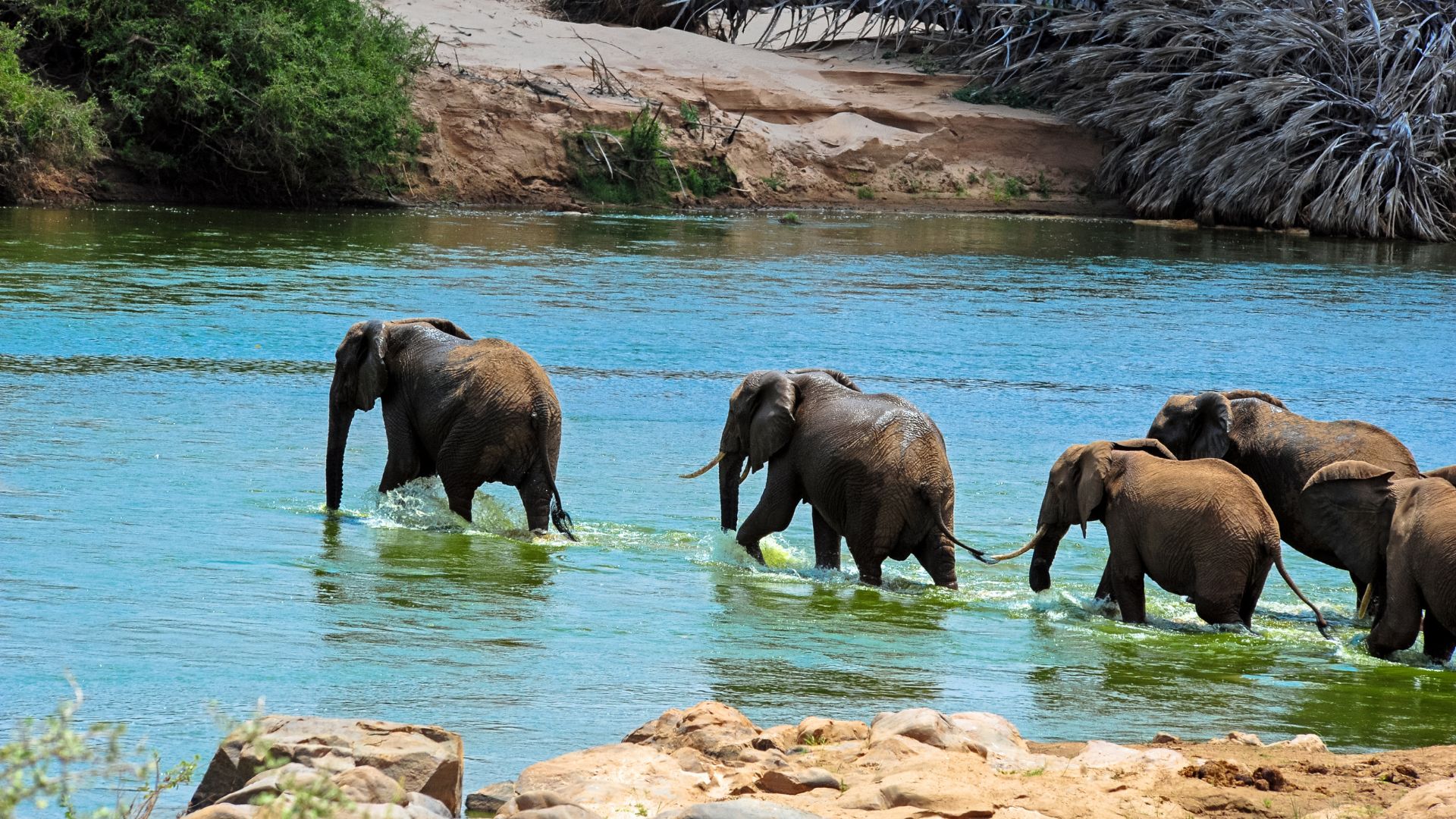 14 Days Mt. Meru Trekking Safari & Zanzibar