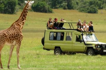 2 Days Safari to Mikumi fromDar es Salaam